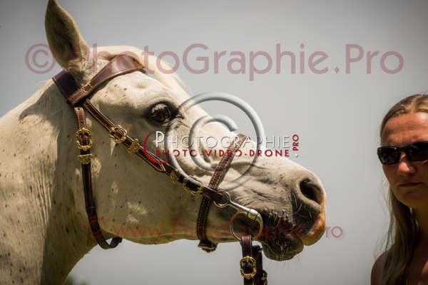 S1025238 © by A-la-Vie.com