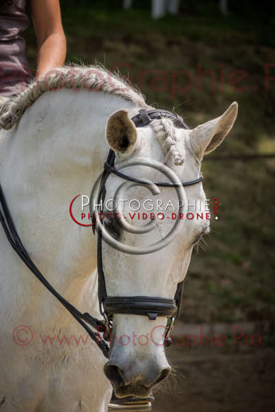 S1026436 © by A-la-Vie.com