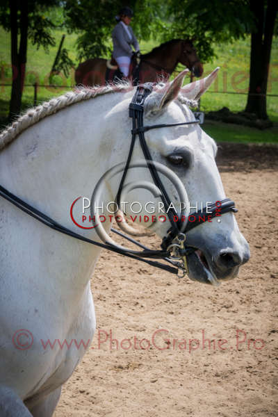 S1026446 © by A-la-Vie.com