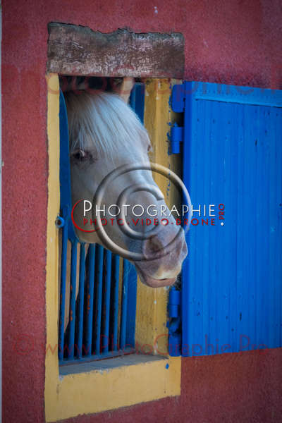 S1026488 © by A-la-Vie.com