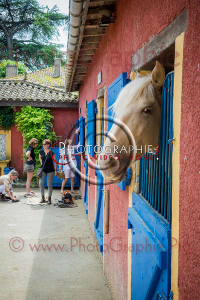 S1026516 © by A-la-Vie.com