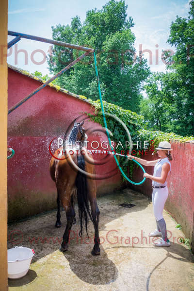 S1026532 © by A-la-Vie.com