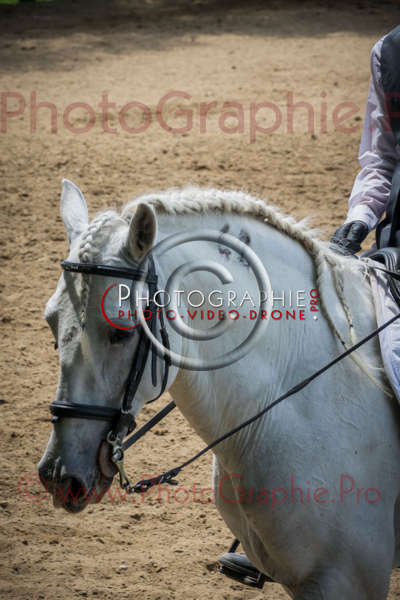 S1026550 © by A-la-Vie.com