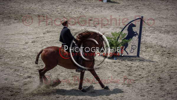 S1026948 © by A-la-Vie.com