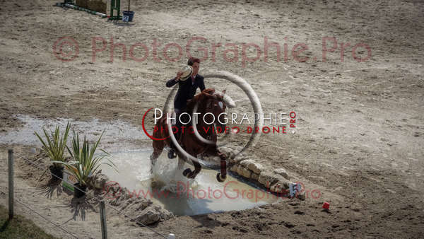 S1026985 © by A-la-Vie.com