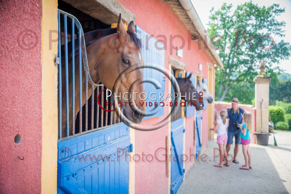 D6019664 © by A-la-Vie.com