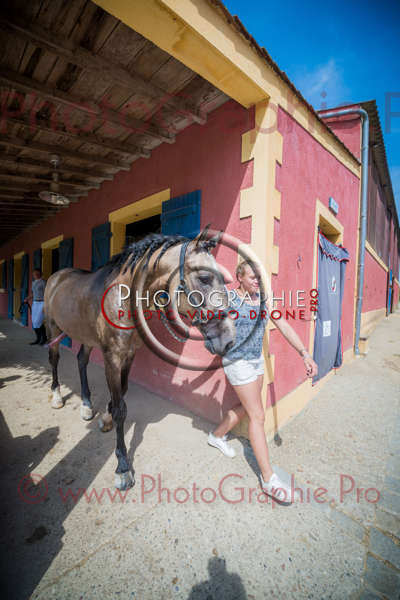 D8E_1188 © by A-la-Vie.com