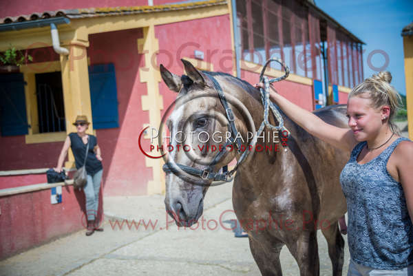 D6019683 © by A-la-Vie.com