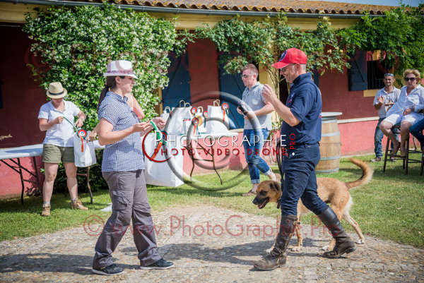 D6020001 © by A-la-Vie.com