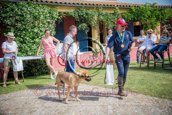 D6020009 © by A-la-Vie.com