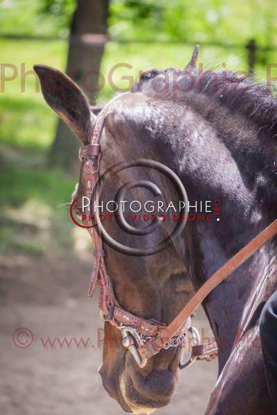 S1025824 © by A-la-Vie.com