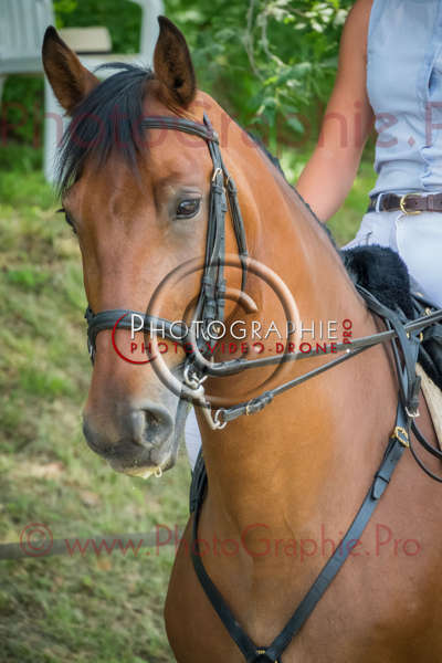 S1025839 © by A-la-Vie.com