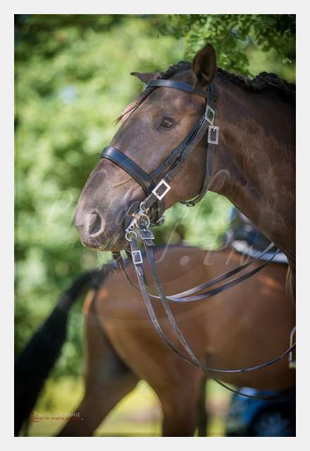 170526-101010_D8e119303 © by A-la-Vie.com