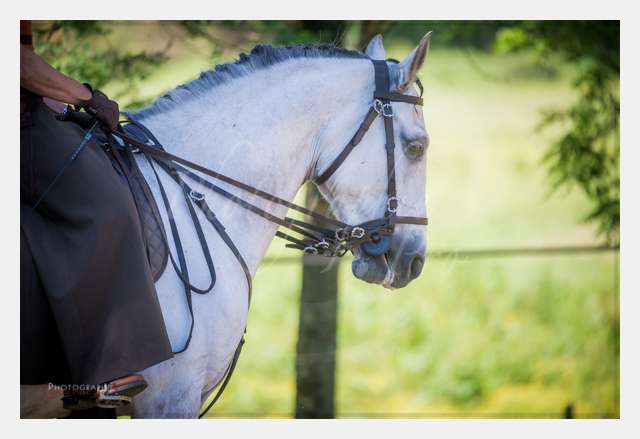 170526-102430_D3s139856 © by A-la-Vie.com