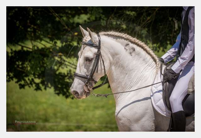 170526-131828_D8e120179 © by A-la-Vie.com