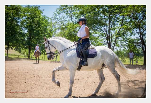 170526-132922_S1021696 © by A-la-Vie.com