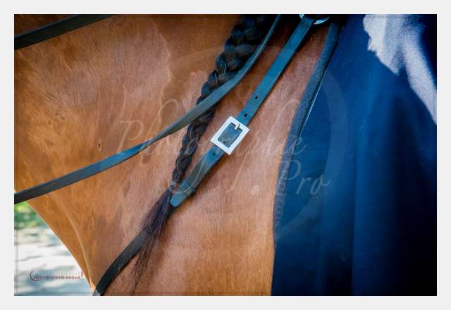 AMBIANCE © by A-la-Vie.com