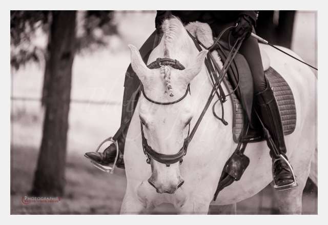 D3s141743 TERRAIN DE CHAUF © by A-la-Vie.com