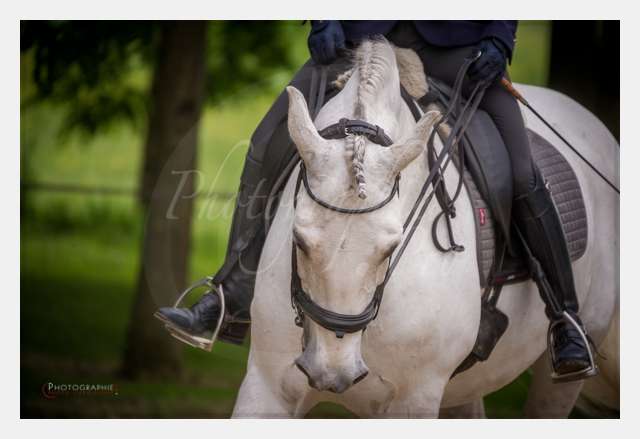 D3s141744 TERRAIN DE CHAUF © by A-la-Vie.com