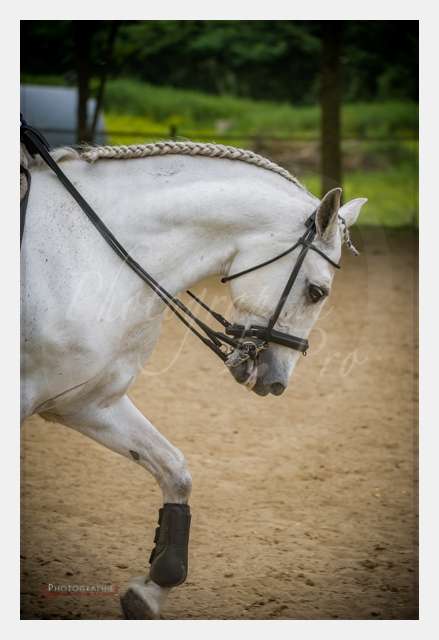 D3s141746 TERRAIN DE CHAUF © by A-la-Vie.com