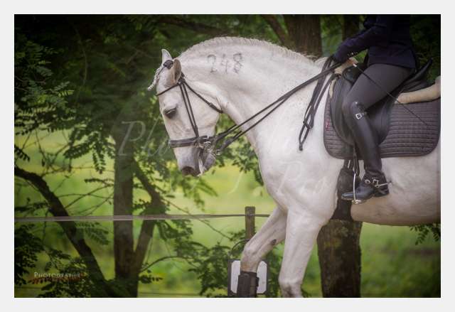 D3s141750 TERRAIN DE CHAUF © by A-la-Vie.com