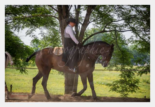 S1024632 TERRAIN DE CHAUF © by A-la-Vie.com