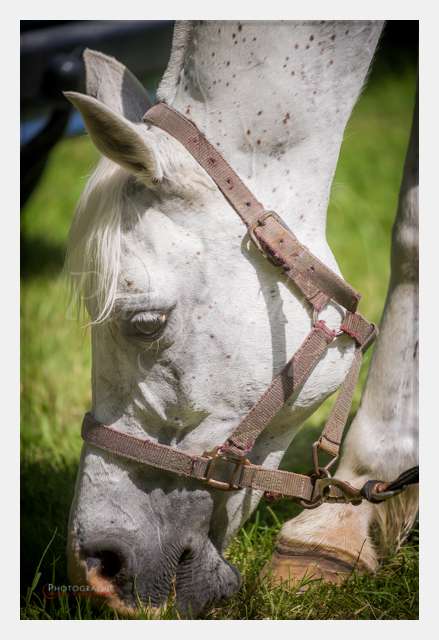 D3s142874 TERRAIN DE CHAUF © by A-la-Vie.com