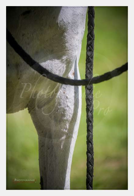 D3s142892 TERRAIN DE CHAUF © by A-la-Vie.com