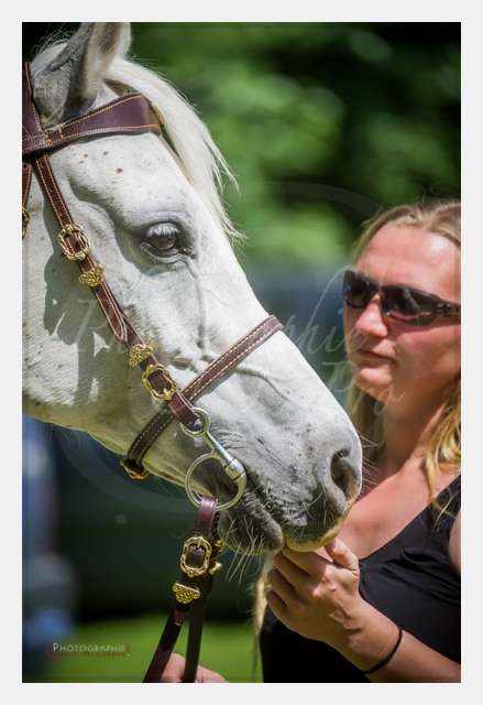 D3s142909 TERRAIN DE CHAUF © by A-la-Vie.com