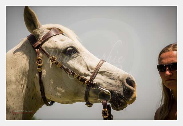 S1025238 TERRAIN DE CHAUF © by A-la-Vie.com