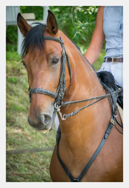 S1025839 TERRAIN DE CHAUF © by A-la-Vie.com