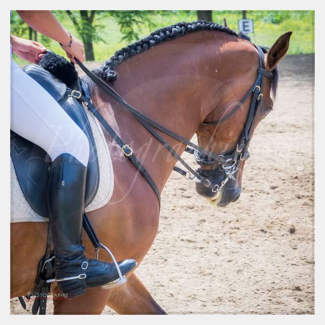 S1025852 TERRAIN DE CHAUF © by A-la-Vie.com