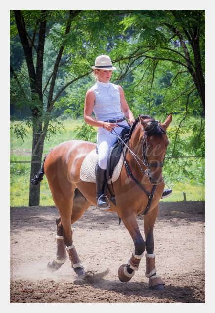 S1025907 TERRAIN DE CHAUF © by A-la-Vie.com