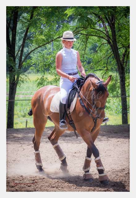 S1025908 TERRAIN DE CHAUF © by A-la-Vie.com