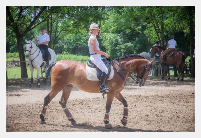 S1025945 TERRAIN DE CHAUF © by A-la-Vie.com