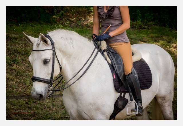 S1025955 TERRAIN DE CHAUF © by A-la-Vie.com