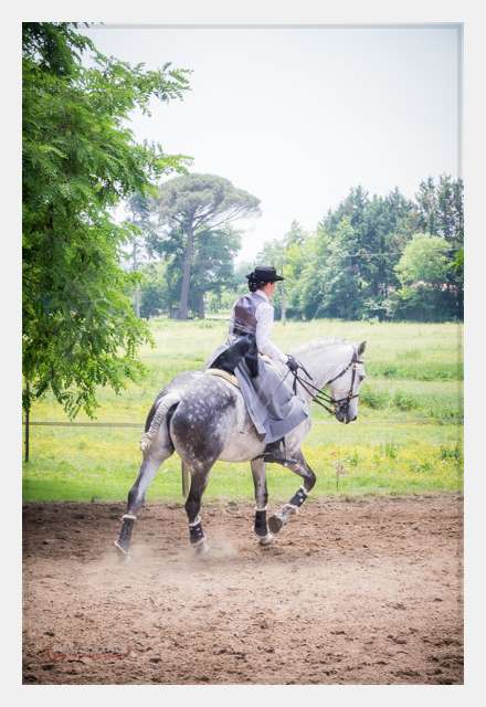 S1026009 TERRAIN DE CHAUF © by A-la-Vie.com