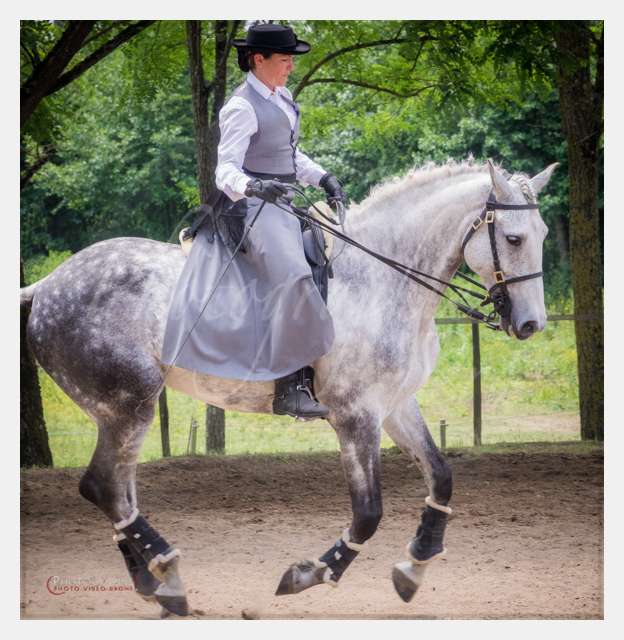 S1026015 TERRAIN DE CHAUF © by A-la-Vie.com