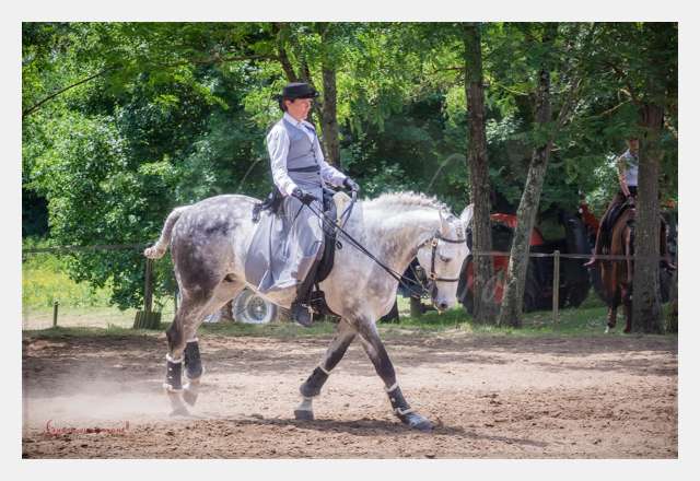 S1026035 TERRAIN DE CHAUF © by A-la-Vie.com