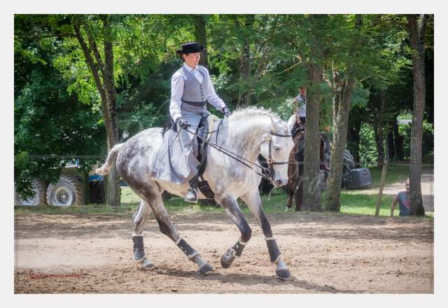 S1026037 TERRAIN DE CHAUF © by A-la-Vie.com