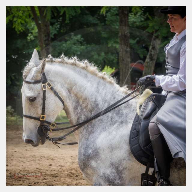 S1026049 TERRAIN DE CHAUF © by A-la-Vie.com