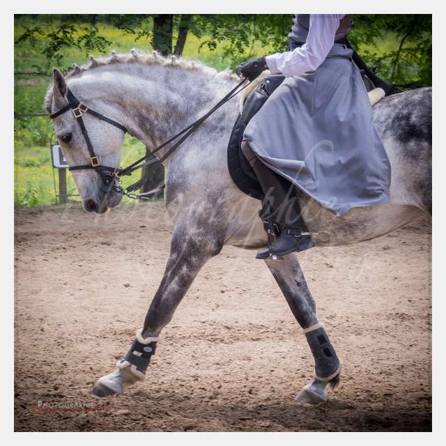 S1026054 TERRAIN DE CHAUF © by A-la-Vie.com