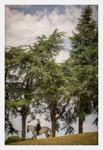 S1026230 TERRAIN DE CHAUF © by A-la-Vie.com