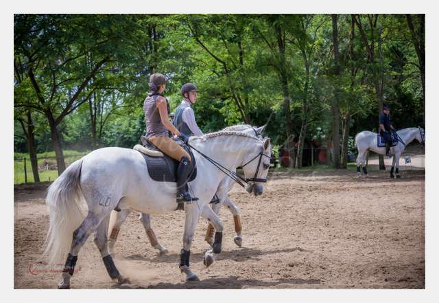 D6018615 TERRAIN DE CHAUF © by A-la-Vie.com