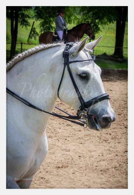 S1026446 TERRAIN DE CHAUF © by A-la-Vie.com