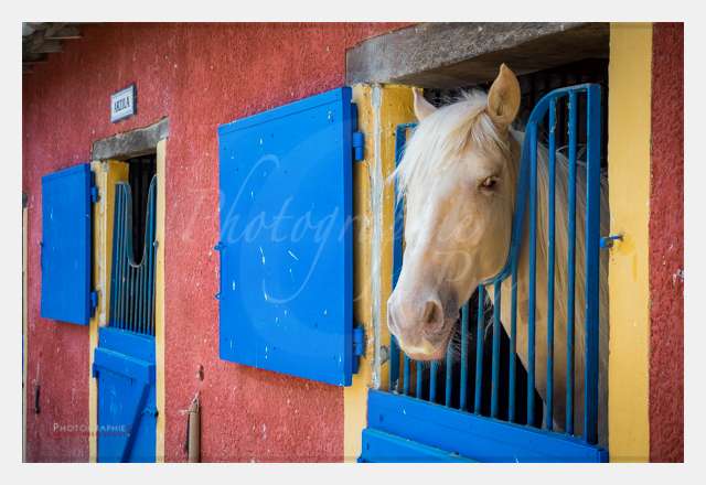 S1026501 AMBIANCE © by A-la-Vie.com