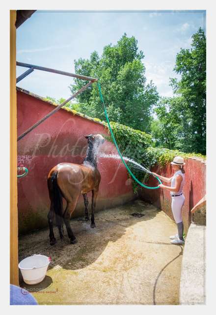 S1026525 AMBIANCE © by A-la-Vie.com