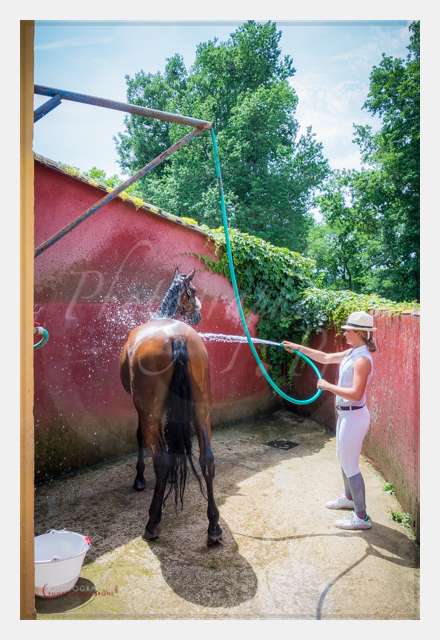 S1026533 AMBIANCE © by A-la-Vie.com