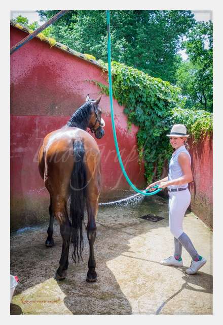 S1026540 AMBIANCE © by A-la-Vie.com