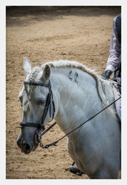 S1026550 TERRAIN DE CHAUF © by A-la-Vie.com